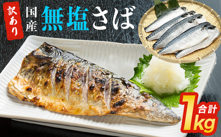 訳あり 無塩 サバ フィレ1.0kg（10枚前後） さば 鯖 切り身 宮城県 石巻市