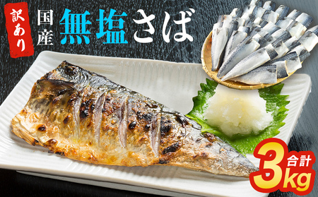 訳あり 無塩 サバ フィレ 3.0kg (30枚前後)  さば 鯖 切り身 宮城県 石巻市