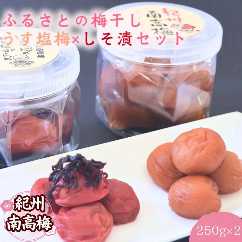 【紀州南高梅】ふるさとの梅干し うす塩梅×しそ漬セット 250g×2 / 和歌山 田辺 紀州 南高梅 お試し 試食 初めて 味見 特選 国産 おにぎり お弁当 二種 500g  免疫 塩分補給 【nmn002】