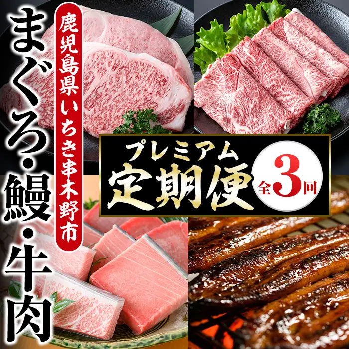 ＜3ヶ月定期便＞いちき串木野プレミアム定期便（マグロ・鰻・牛肉）【00-016-03-TK】