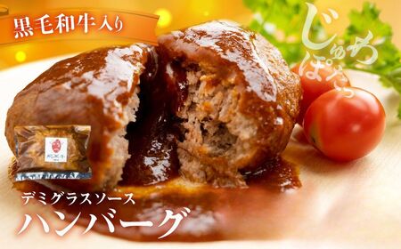 飛米牛入りデミグラスハンバーグ 180g×2枚 湯煎ハンバーグ