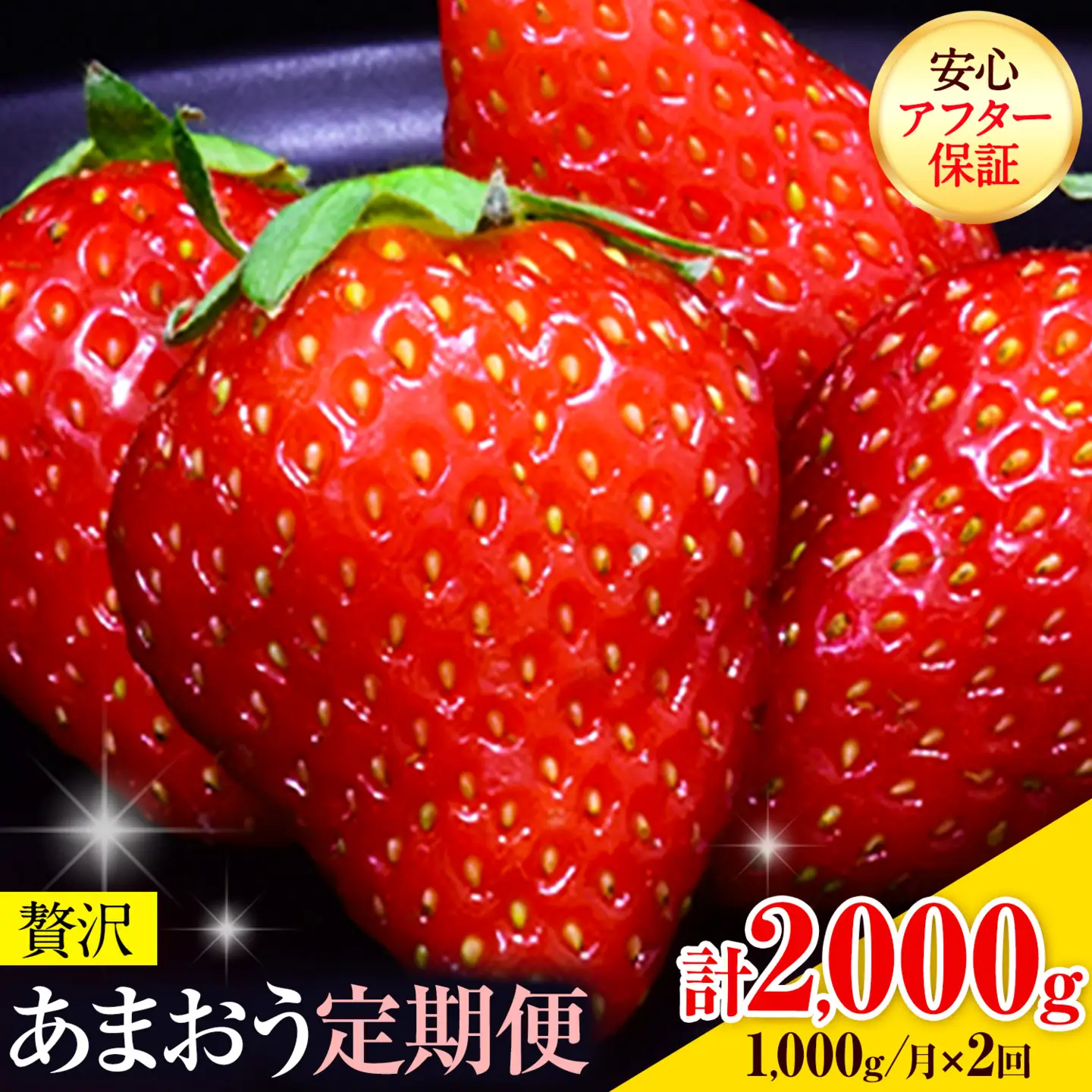 【2ヶ月定期便】あまおう 1000g いちご《2027年3月・4月頃出荷予定》【配送不可地域：離島】
