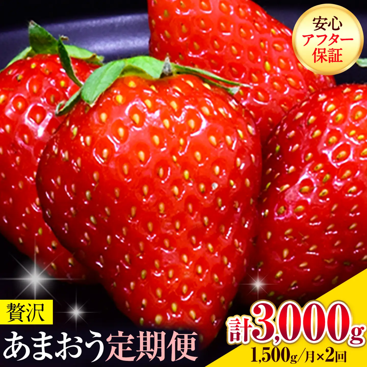 【2ヶ月定期便】あまおう 1500g いちご《2027年3月・4月頃出荷予定》【配送不可地域：離島】
