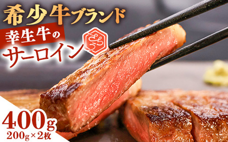 【30営業日以内配送】幸せを運ぶ牛《幸生牛》希少牛 サーロインステーキ 400g（200g×2枚） 025-D-YL038