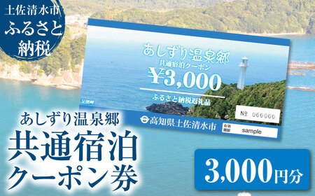 あしずり温泉郷 共通宿泊クーポン券 3,000円分 【R01313】