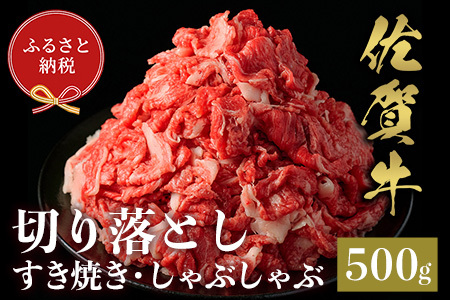 【和牛セレブ】佐賀牛 切り落とし 500g(H113117)