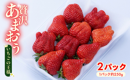 【2026年12月上旬から2027年1月末発送】あまおう 2パック いちご 苺 NGK019