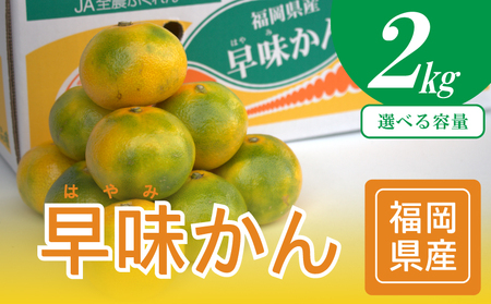 【2026年9月中旬から下旬にかけて順次発送】福岡ブランドみかん 早味かん約2kg NGK006