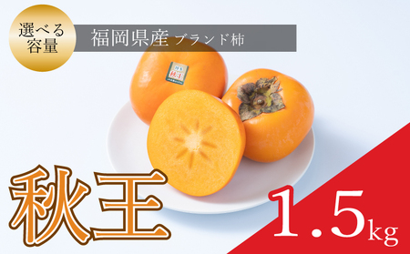 【先行予約】【2026年10月下旬から11月末発送】福岡限定!ブランド柿「秋王(あきおう)」約1.5kg(4-6玉) NGK004