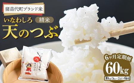 定期便 【6ヵ月連続】令和7年産 猪苗代町ブランド米 いなわしろ天のつぶ 10kg ｜ 米 お米 精米 白米 福島 大粒 寿司 和食