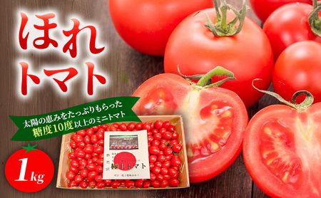 高糖度「ほれトマト」1kg　極上 ミニトマト 糖度10度以上