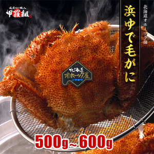 20-269 【甲羅組】北海道産　ボイル毛蟹