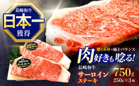 長崎和牛サーロインステーキ 約750g(250g×3枚)[OCE047]