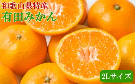 [秀品]和歌山有田みかん6kg（2Lサイズ）