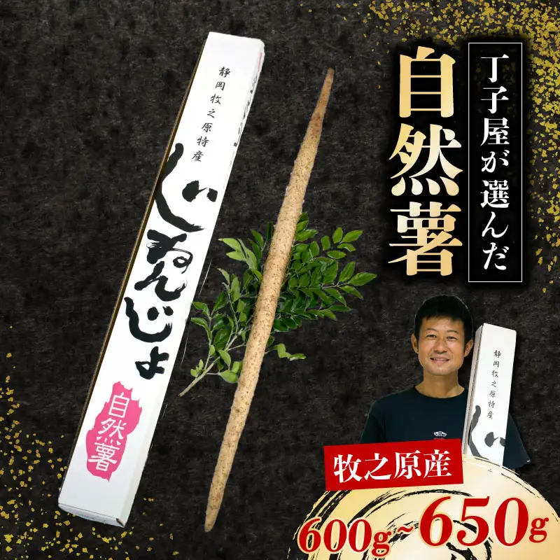 【R7年12月上旬からの発送】自然薯  600ｇ～650ｇ丁子屋が選んだ 自然薯