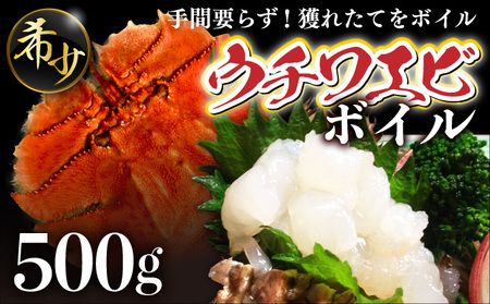 ＜数量限定＞ウチワエビ（ボイル）7匹前後 500gセット【S246】