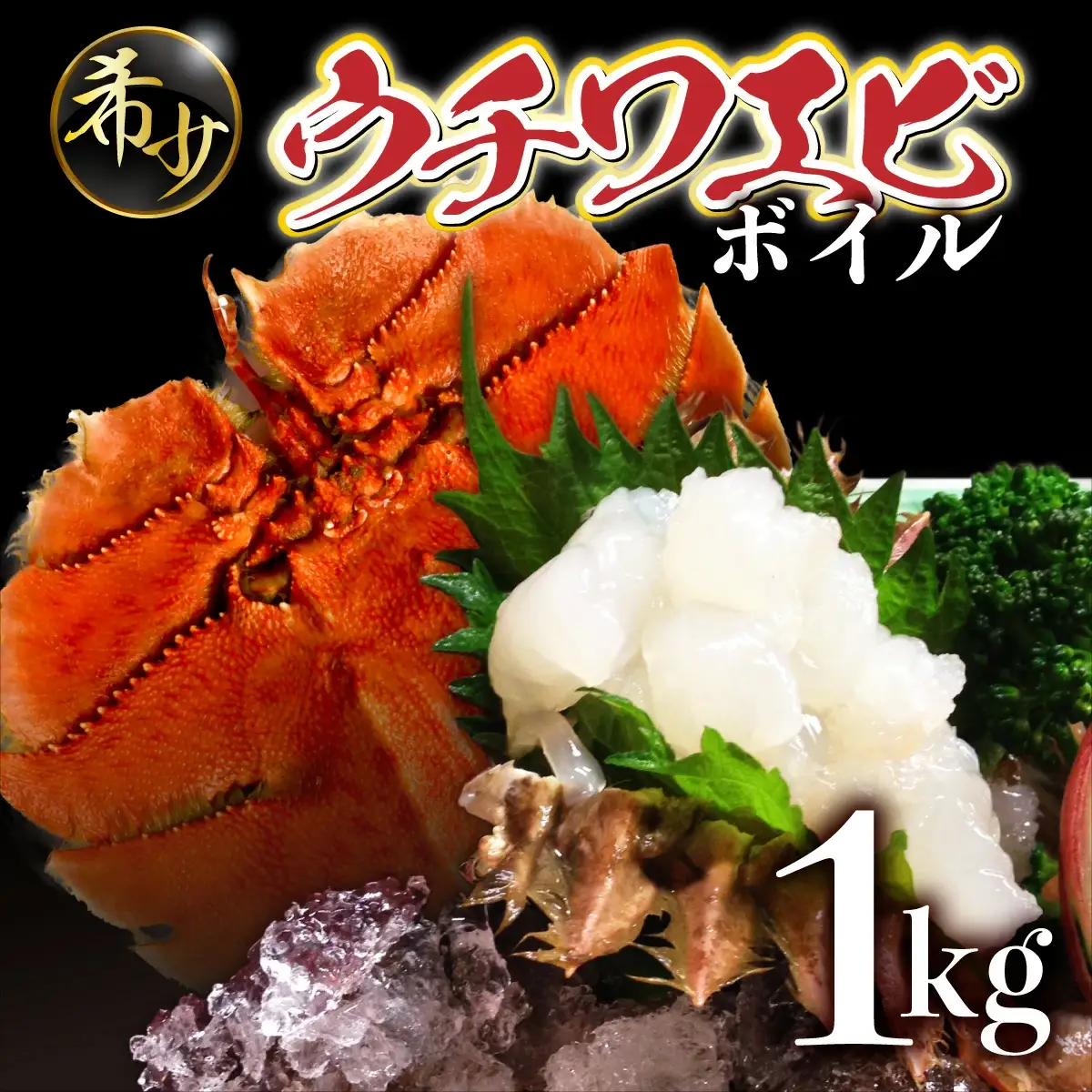 ＜数量限定＞ウチワエビ（ボイル）14匹前後 1000gセット【S247】