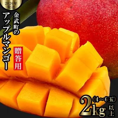 マンゴー【2026年発送】金武町のアップルマンゴー◆贈答用◆2kg以上（4～6玉）