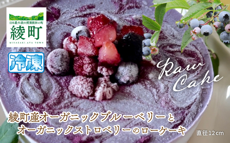 綾町産オーガニックブルーベリーとストロベリーのローケーキ_0098-002