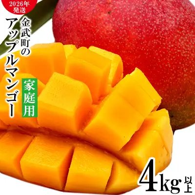 マンゴー【2026年発送】農家さん直送！アップルマンゴー4kg以上 家庭用