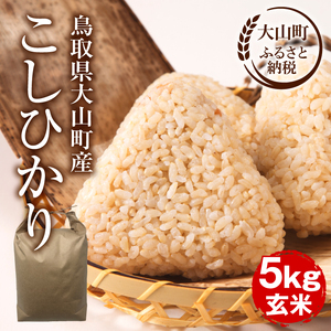 【令和8年10月以降発送新米】MS-106　大山町産こしひかり【大山の一粒】5ｋｇ（玄米）