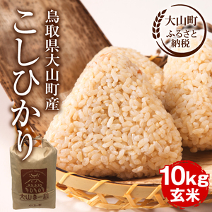 【令和8年10月以降発送新米】MS-107 大山町産こしひかり【大山の一粒】10ｋｇ（玄米）