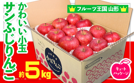 ☆フルーツ王国山形☆かわいい 小玉サンふじりんご 5kg 24玉 キュートパッケージ FZ26-807