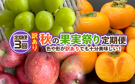 【定期便3回】★訳あり★秋の果実祭り定期便 色や形が訳ありでも十分美味しい！シャインマスカット・柿・りんご【令和8年産先行予約】FS24-814 くだもの 果物 フルーツ 山形 山形県 山形市 2026年産