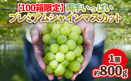 【100箱限定】両手いっぱい 1房 800g プレミアム シャインマスカット 【令和8年産先行予約】FS24-816 くだもの 果物 フルーツ 山形 山形県 山形市 2026年産