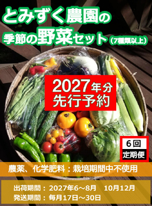 【2027年夏出荷開始・6回定期便】産地直送！旬の高原野菜セット(北海道・沖縄県・離島は配送不可) 長野 信州 無農薬 季節 新鮮 詰合せ 直送 先行予約〈2027年6月17日出荷開始～2027年12月28日出荷終了〉