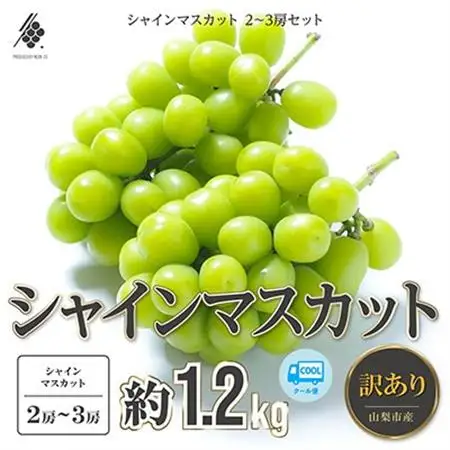 【2026年発送】 シャインマスカット 2～3房(計約1.2kg)【訳あり】【配送不可地域：離島・沖縄県】【1567960】