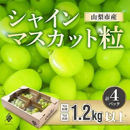シャインマスカット 粒 約1.2kg 訳あり ぶどう 粒カット【配送不可地域：離島・沖縄県】【1568100】