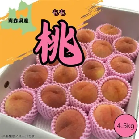 青森県産 　本州最北端の桃 　4.5kg(12～20玉)　【2026年8月中旬ごろ～発送開始】_果物・フルーツ もも  モモ 桃_【配送不可地域：離島】【1548640】