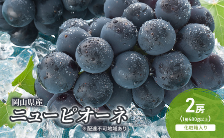 ぶどう 2026年 先行予約 ニューピオーネ 2房(1房480g以上) 化粧箱