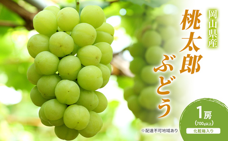 ぶどう 2026年 先行予約 桃太郎ぶどう 1房(700g以上) 化粧箱