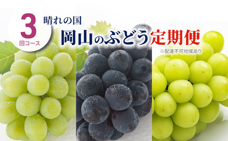 ぶどう 定期便 2026年 先行予約 晴れの国 岡山 の ぶどう定期便 3回コース