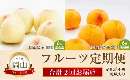 桃 定期便 2026年 先行予約 晴れの国 岡山 の フルーツ 定期便 2回コース 桃 食べ比べ