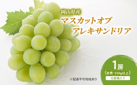 ぶどう 2026年 先行予約 マスカットオブアレキサンドリア 1房(550g以上・赤秀) 化粧箱
