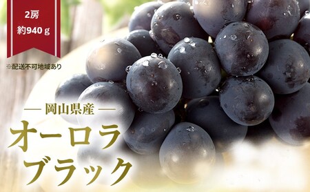 ぶどう 2026年 先行予約 オーロラブラック 2房 (約940ｇ) 化粧箱