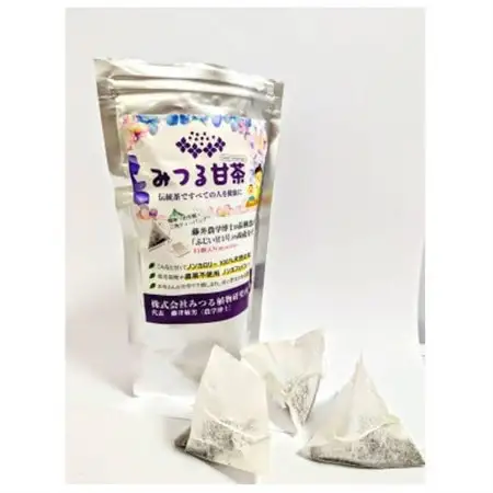 伝統健康茶みつる甘茶 31パック　藤井博士が開発した驚きの自然の甘さ【1560606】