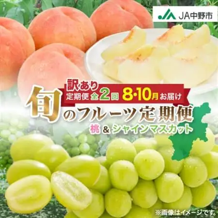 【発送月固定定期便】JA中野市訳ありの【桃】川中島白桃2.1kgとシャインマスカット1.3kg全2回【配送不可地域：離島・北海道・沖縄県】【4060199】