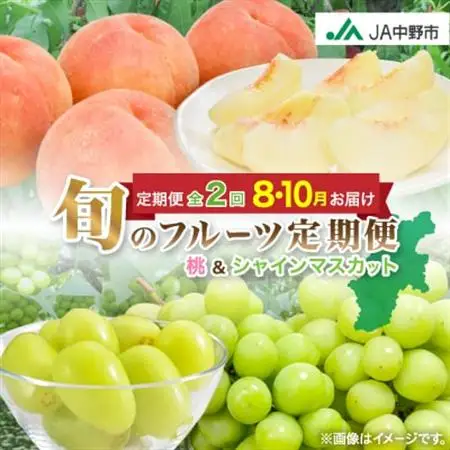 【発送月固定定期便】中野市の糖度13度保証の桃2.1kg以上とシャインマスカット2房1kg以上全2回【配送不可地域：離島】【4060200】