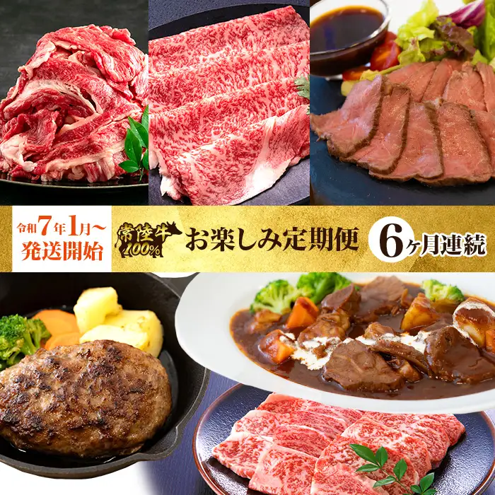 【定期便】【全6回】常陸牛お楽しみ定期便（6ヶ月連続でお届け） 528