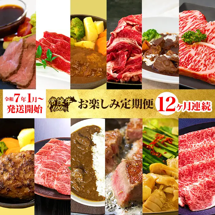 【定期便】【全12回】常陸牛お楽しみ定期便（12ヶ月連続でお届け） 529