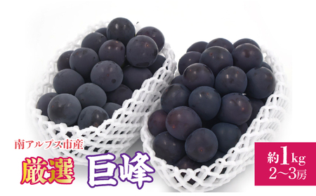 【2026年発送先行予約】厳選！南アルプス市産　巨峰　約1.0kg（2～3房） ALPDD016