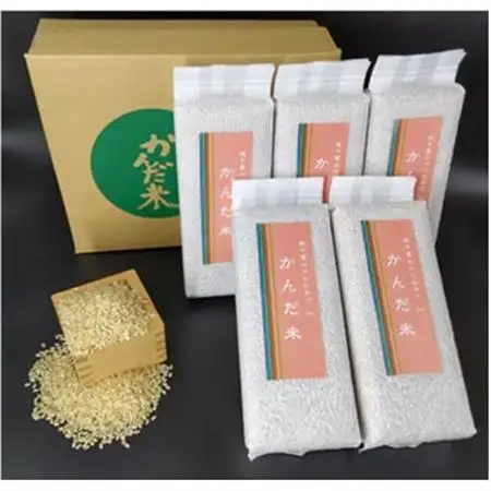 【毎月定期便】鮮度の米　かんだ米『コシヒカリ』玄米　真空パック　1kg×5袋全6回【4053221】