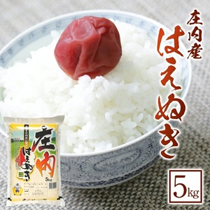SA2959　令和7年産【精米】はえぬき　5kg×1袋 《農産物検査員おすすめの庄内米》 SY