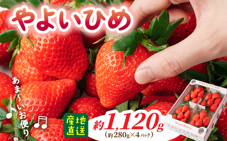 家庭用いちご やよいひめ ４パック 1120g いちご 群馬県 前橋市