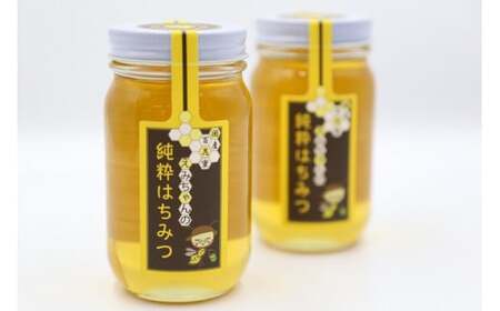 はちみつ えみちゃんの純粋はちみつ 300ｇ×２