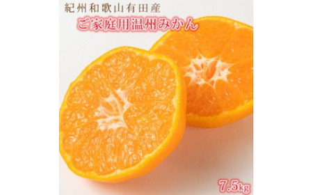 【先行予約】【ご家庭用訳あり】紀州和歌山有田産温州みかん7.5kg◇ ｜みかん ミカン 蜜柑 フルーツ みかん ふるーつ みかん 果物 みかん くだもの みかん 和歌山 みかん